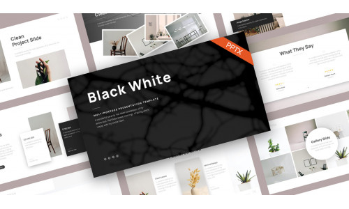 Black White Multipurpose PowerPoint Template