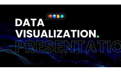 Data Visualization - Presentation Bundle