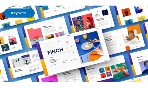 Finch – Business Keynote Template #253680