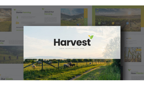 Harvest - Keynote template #115702
