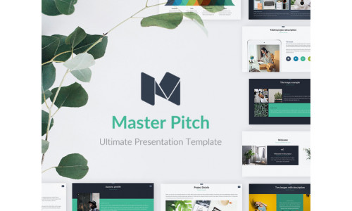 Master Pitch PowerPoint template #70385
