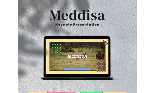 Meddisa - Keynote template #93199