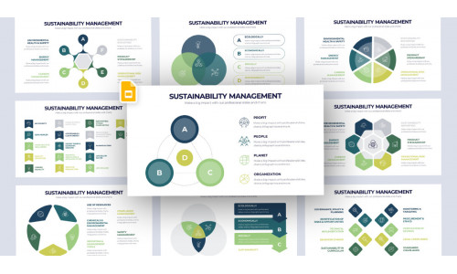 Sustainability Management Infographic Google Slides Template